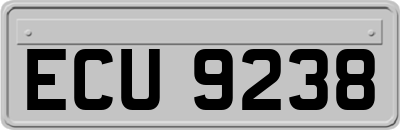 ECU9238