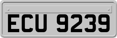ECU9239