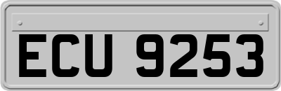 ECU9253