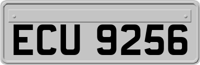 ECU9256