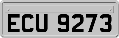 ECU9273