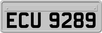 ECU9289