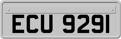 ECU9291