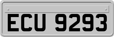 ECU9293