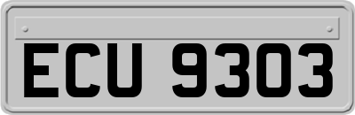 ECU9303