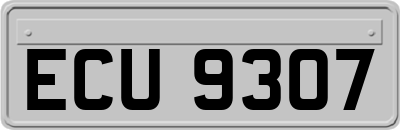ECU9307