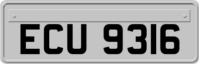 ECU9316