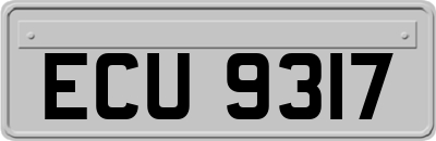 ECU9317