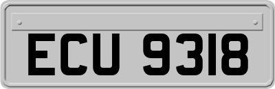 ECU9318