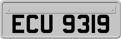 ECU9319