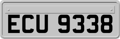 ECU9338