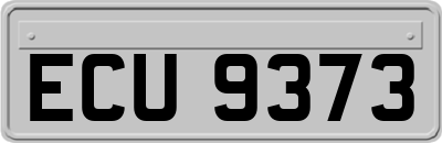 ECU9373