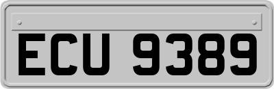 ECU9389