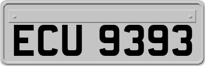 ECU9393