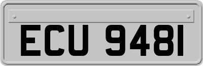 ECU9481