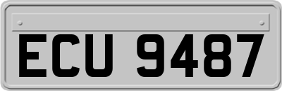 ECU9487