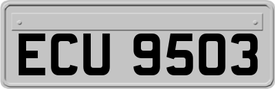 ECU9503