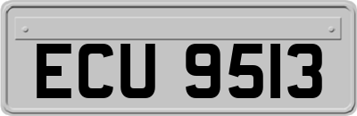ECU9513