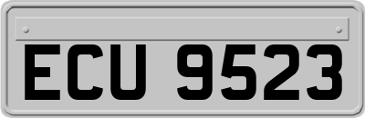 ECU9523