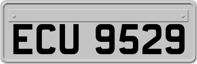 ECU9529
