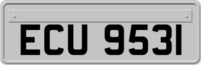 ECU9531