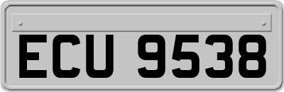 ECU9538