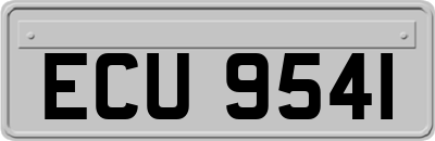 ECU9541