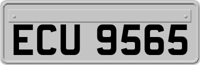 ECU9565