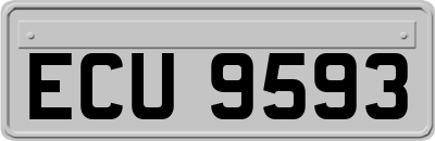 ECU9593
