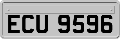 ECU9596
