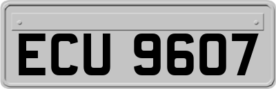 ECU9607
