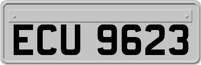 ECU9623