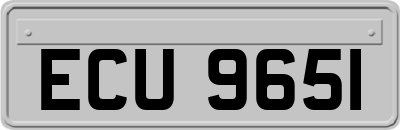 ECU9651