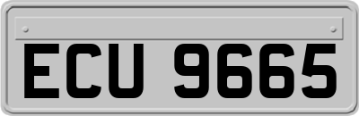 ECU9665