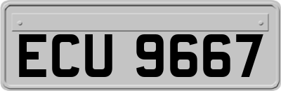 ECU9667