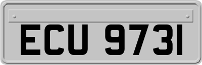ECU9731