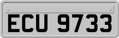ECU9733
