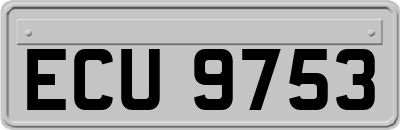 ECU9753