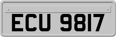 ECU9817
