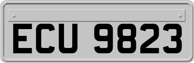 ECU9823