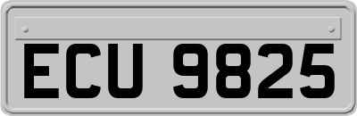 ECU9825