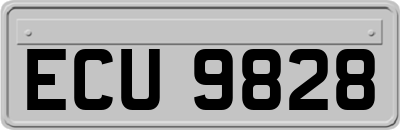 ECU9828