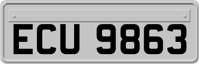 ECU9863