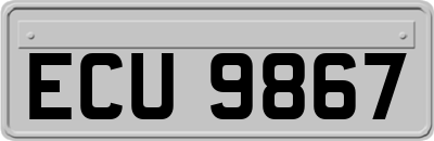 ECU9867