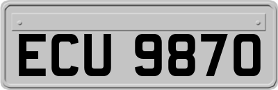 ECU9870