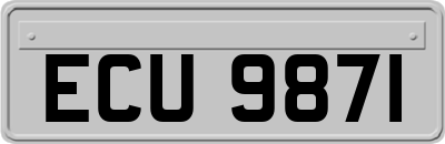 ECU9871