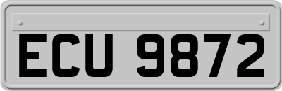 ECU9872
