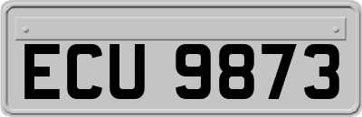 ECU9873