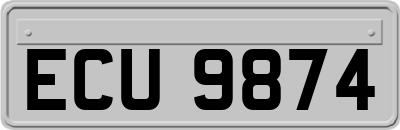 ECU9874