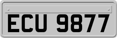 ECU9877